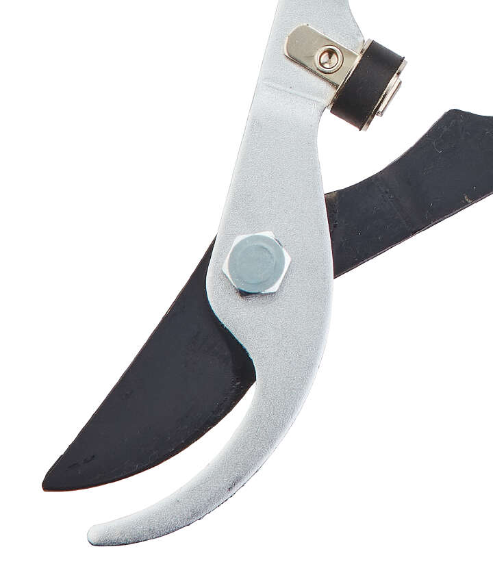 GÄRTNERGLÜCK Teleskop-Astschere TA